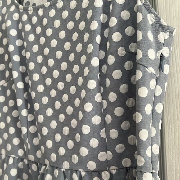 The Limited Polka Dot Sleeveless A-Line Dress - Picture 8 of 14